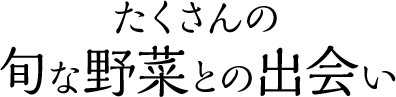 たくさんの旬な野菜との出会い