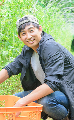 ひだまり農場の栽培の様子