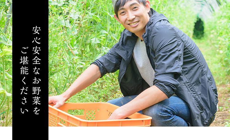 安心安全なお野菜をご堪能ください
