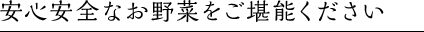 安心安全なお野菜をご堪能ください