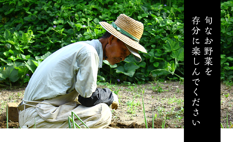 旬なお野菜を存分に楽しんでください