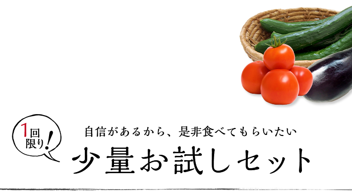 少量お試しセット
